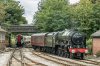 HerefordStation-2023-8-21-1-46115_ScotsGuardsman.jpg