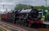 m-5580LONGBUCKBY.jpg