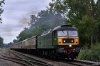 DSC05505.jpg