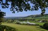 DSC_0518.jpg
