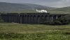 Waverley FS 2 NP.jpg