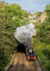 _23Z0987 45690 New Mills 160923.jpg