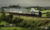 NB Tangmere 1 NP.jpg