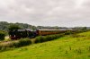 DSC_3381-1.JPG
