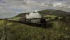Northern Belle 67 2 NP.jpg