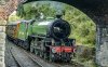 SVR-Arley-2023-9-15-148 (1).jpg