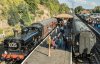 SVR-Bewdley-2023-9-15-152 (1).jpg
