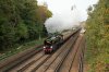 001-34046-Golden-Arrow-Bromley-South-4Oct-2023.jpg