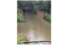 IMG_0600.png