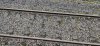 IMG_20231007_180413~2.jpg
