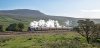 60103 2 np.jpg