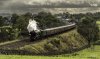 The Hadrian FS 1 NP.jpg