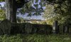 The Hadrian FS 2 NP.jpg