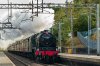 EOS 5D Mark IV_231021_5724-Edit.jpg
