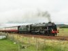 PA212187.jpg