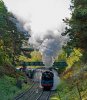 005-80078-arriving-Groombridge-loop-on-10.15-Eridge-22Oct-2023.jpg