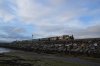 DSC_0291.jpg