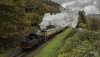 Ivatt 2 NP.jpg