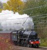 M-44871 18112023.jpg