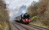 _DSC3603-Edit.jpg