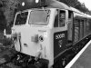 IMG_8094.jpeg