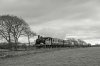 _DSC9982m.jpg