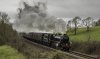 44932 On test 1 NP.jpg