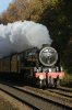 DSC04920.jpg