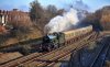 IMG_7871 7029 Tyseley 3 ipad 02 12 2023.jpg