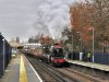 115A7789 (3).jpeg