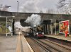 115A7805 (1).jpeg