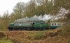 018-34072-Friezland-Wood-return-of-11.30-TWW-16Dec-2023.jpg