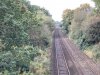 IMG_1359.jpeg