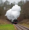 006-34059-14.20-Sheffield-Park-at-West-Hoathly-1Jan-2024.jpg