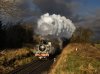 390A6205-Enhanced-NR.tif final.jpg