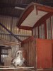 Brake van Oct 01.JPG