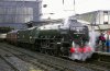 00-4-8 3 60532 Carlisle copy_edited-1.jpg