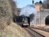 DSC_0491bc.jpg
