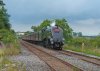 DSC_3118.jpg