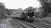 Flickr.069.jpg