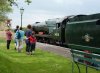 P1060039 v2.jpg
