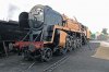 IMG_6807_Murdoch.jpg