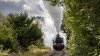 IMG_0006-0.jpg