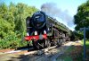 Oliver Cromwell at Addlestone Jn 20-08-14 028a.JPG