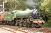 61306-Mayflower.jpg