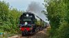 Flickr.128.jpg