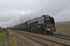 Duchess CME 1a.jpg