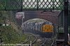 _DSR12164_DxO_2_01.JPG