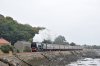 46233-02b.jpg