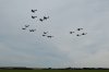 DSC_0213.JPG